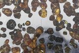 Polished Sericho Pallasite Meteorite ( g) Slice - Kenya #348916-1